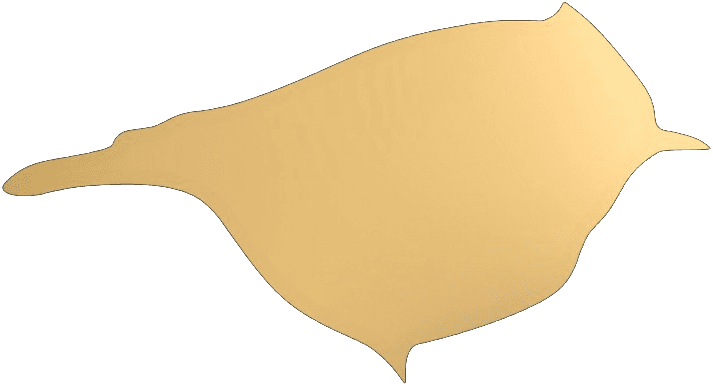 Goldcrest 3D